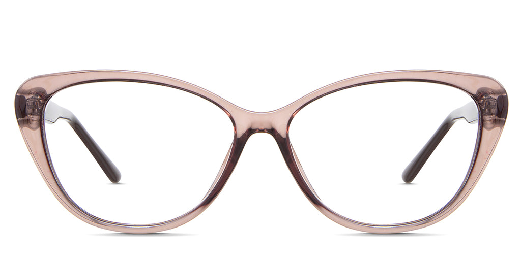 Amber eyeglasses on sale