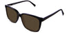 Jet-setter-Brown-Polarized