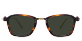 Knox-Green-Polarized