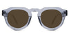 Periwinkle-Brown-Polarized