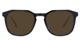 Midnight-Brown-Polarized