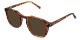 Tortoise-Brown-Polarized