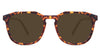 Tortoise-Brown-Polarized