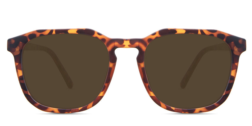 Tortoise-Brown-Polarized