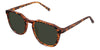 Tortoise-Green-Polarized