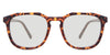 Reign Tortoise Light-responsive Gray