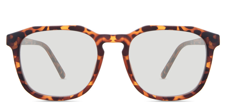 Reign Tortoise Light-responsive Gray