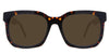 Tortoise-Brown-Polarized