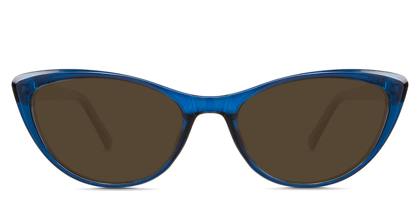 T.Navy-Brown-Polarized