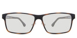 Skinner Tortoise Light-responsive Gray