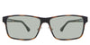 Skinner Tortoise Light-responsive Green