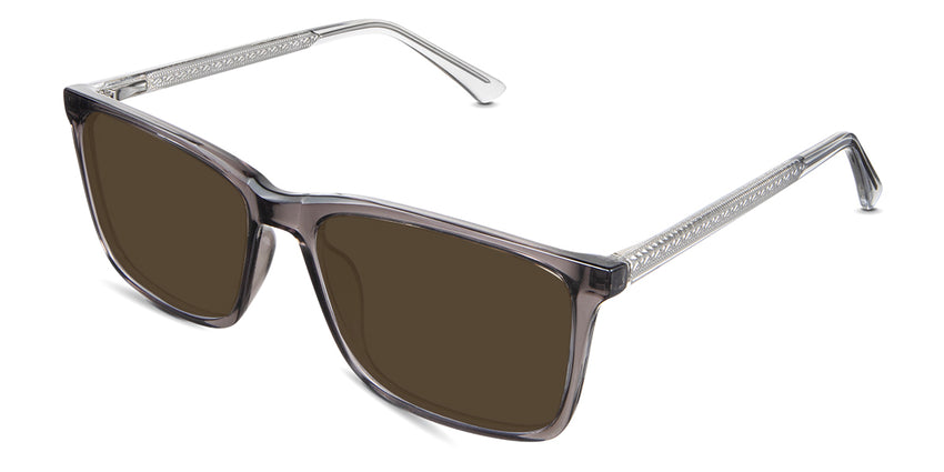 Koala-Polarized-Brown