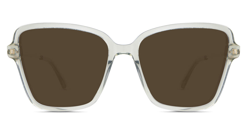 Olive-Brown-Polarized